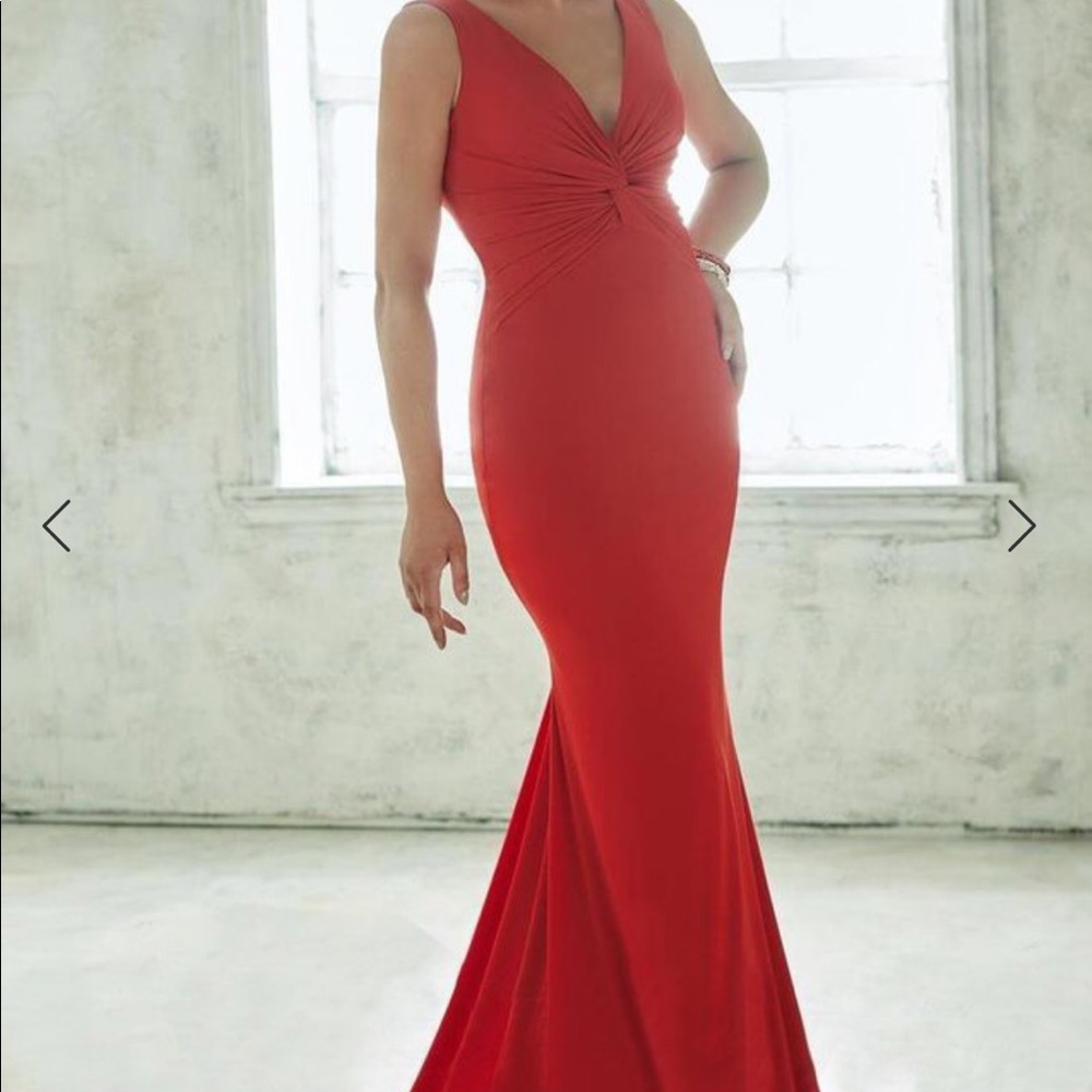 Beautiful NWT Gala/wedding/formal gown dress